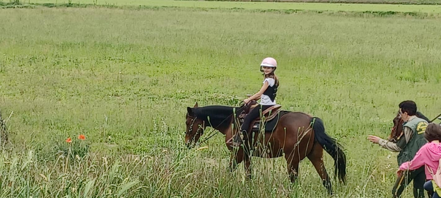 Blue River American Ranch | Torre d'Isola