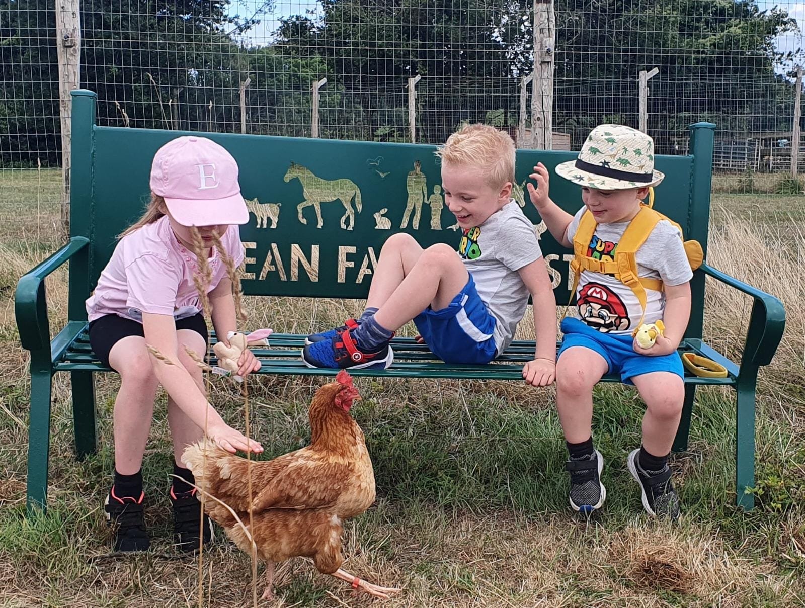 Dean Farm Trust - ☀️ Our last open afternoon of the... | Facebook