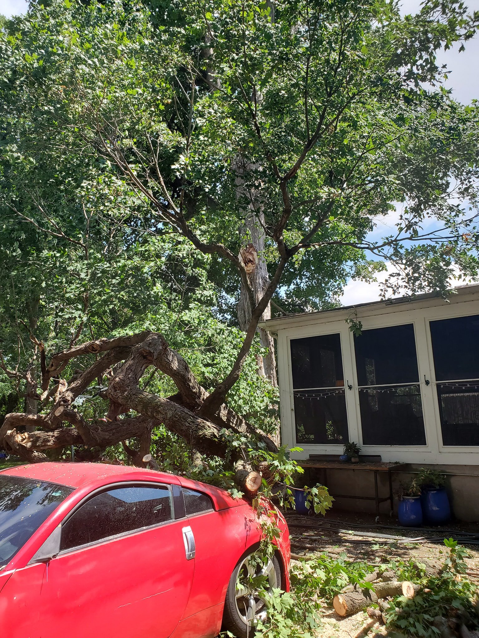 Out On A Limb Tree Service... - Out On A Limb Tree Service