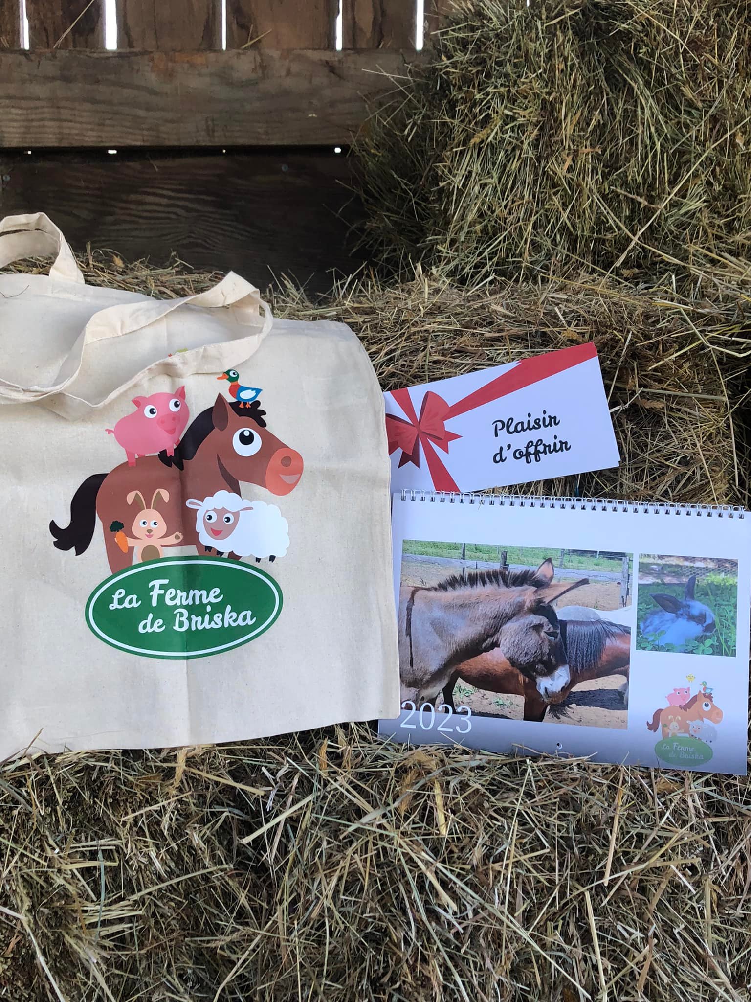 La Ferme De Briska Pédagogique Itinérante