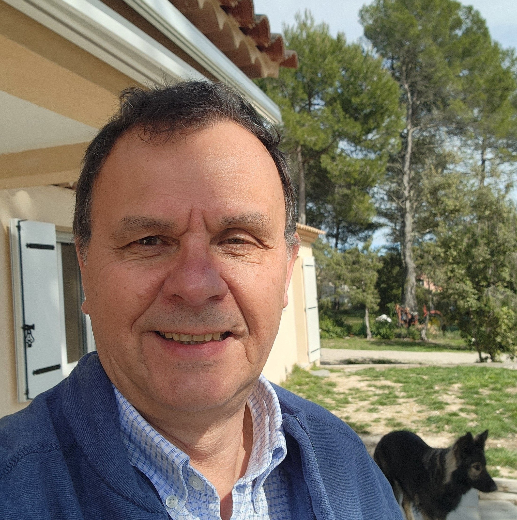Le vent c'est enfin calmé 😃 #chienheureux #provenceverteverdon # ...