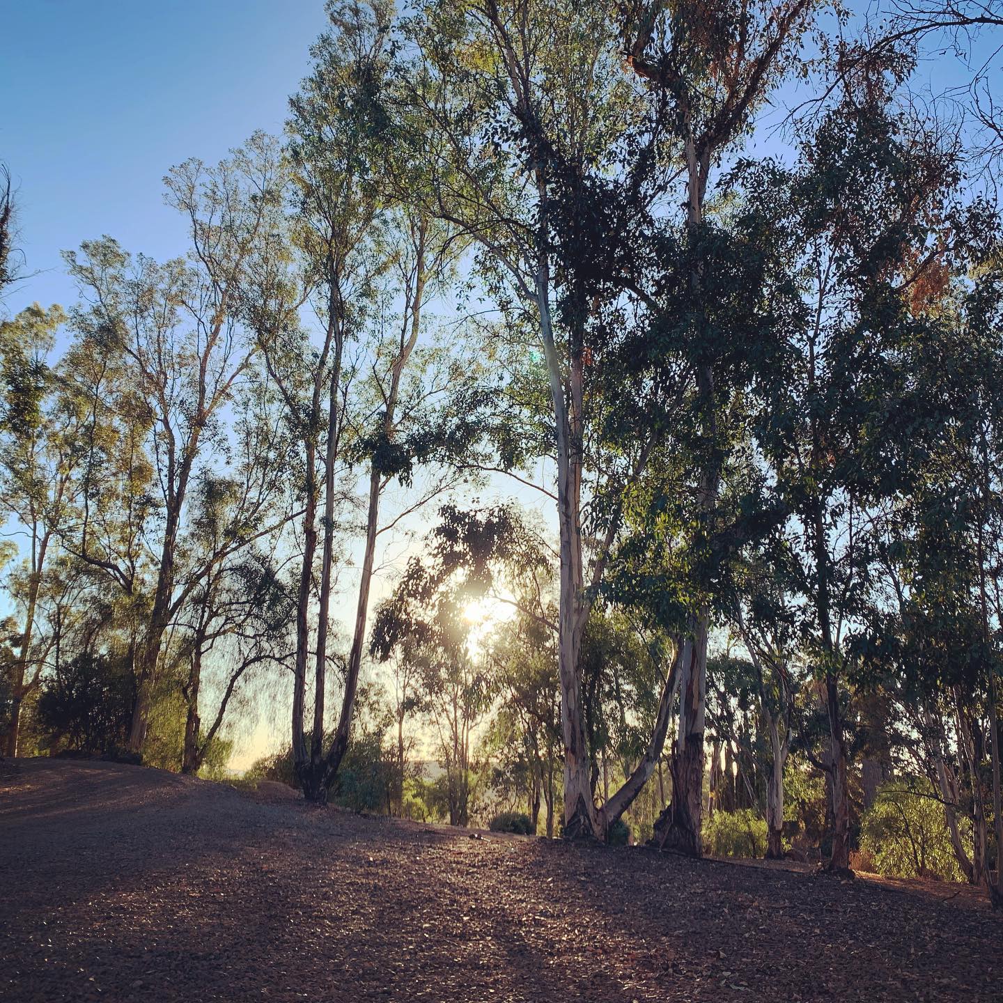 Rising Son Ranch | Winchester CA