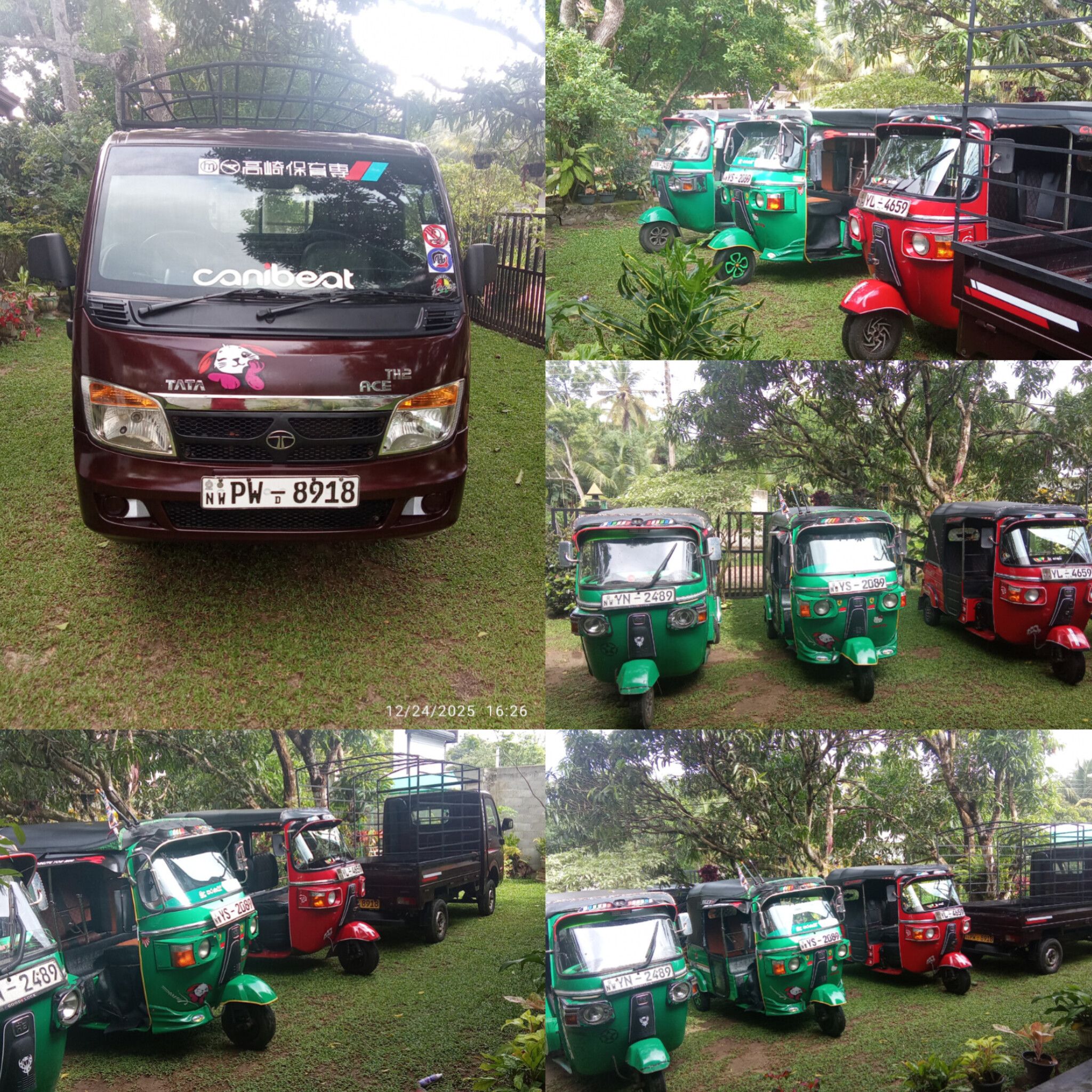 Troc black magic 2026 for sale
