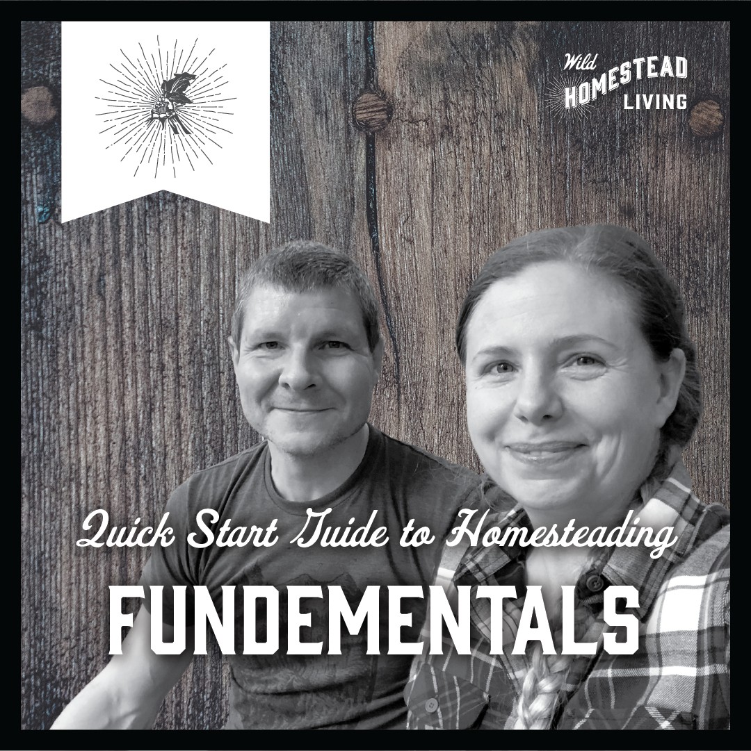 NEW SERIES!!! We are so excited to... - Wild Homestead Living