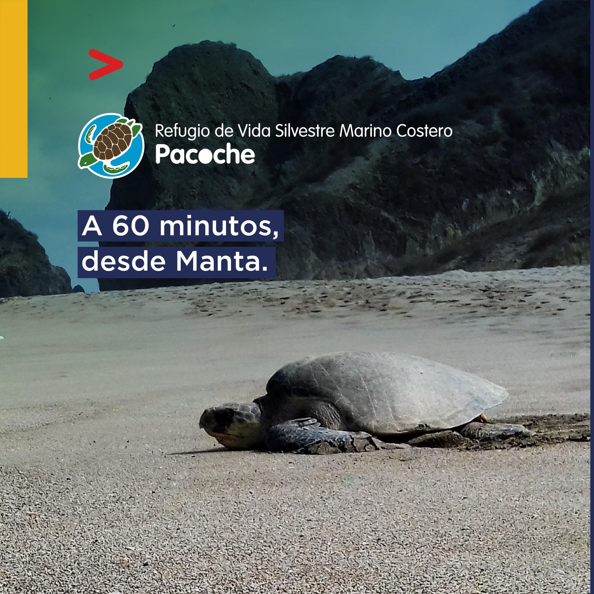 Déjate envolver por la calidez... - Parque Nacional Galápagos