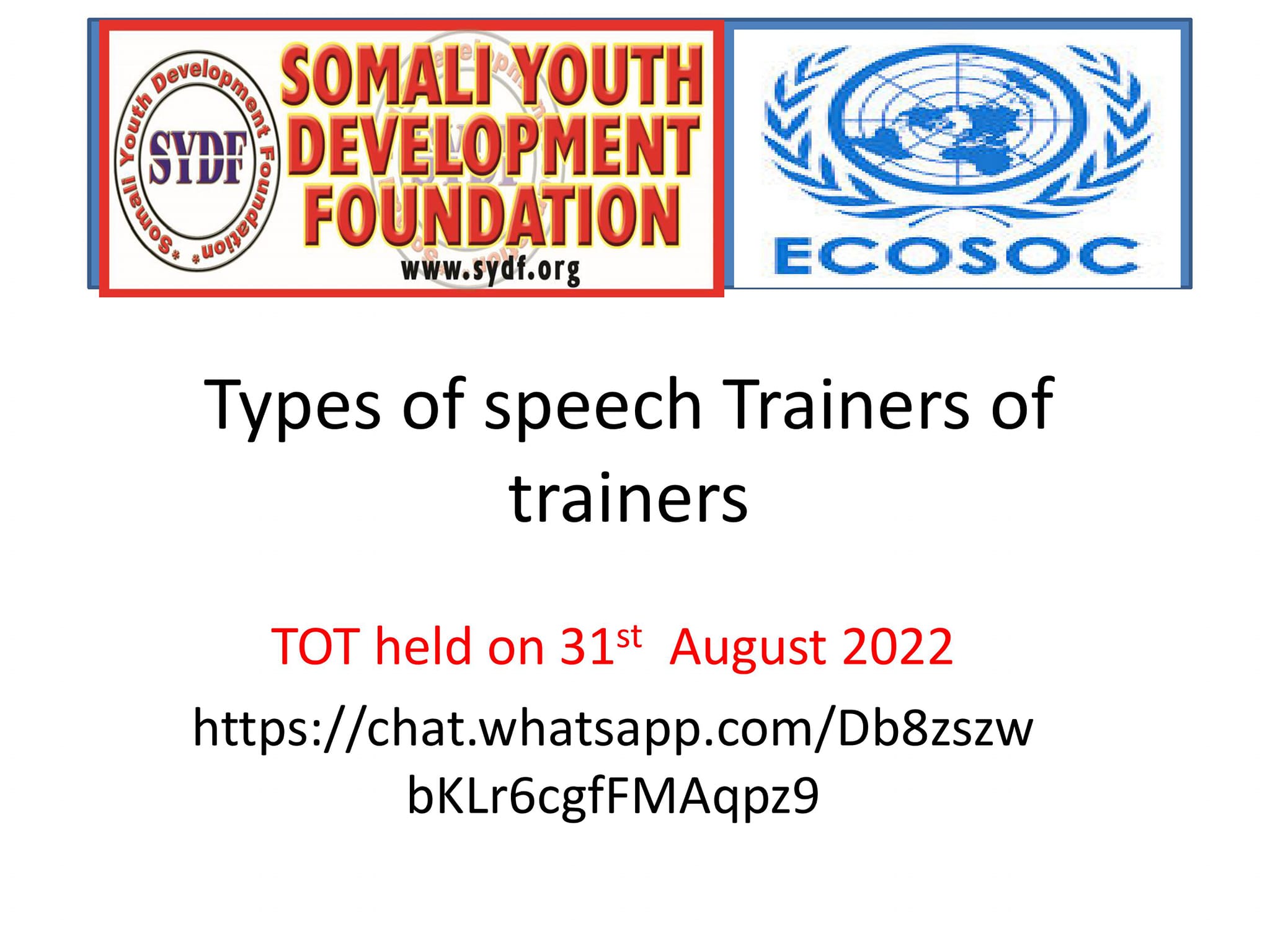 Somali Youth Development Foundation (SYDF) - *The United Nations ...
