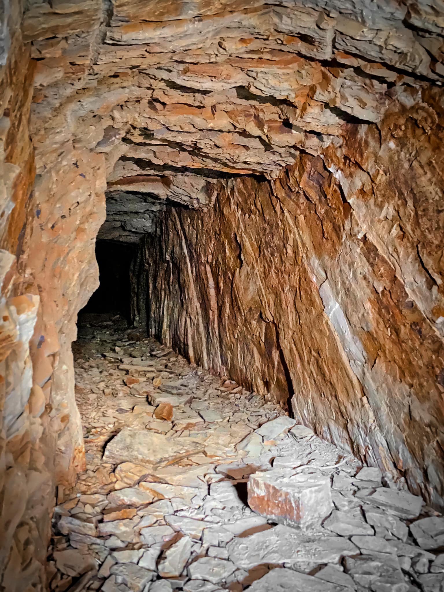 THE GOLD FEVER - The Argus, 6th Oct... - Goldfields Guide