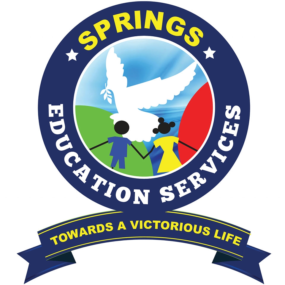 Springs Education... - Springs Education Services Ntinda