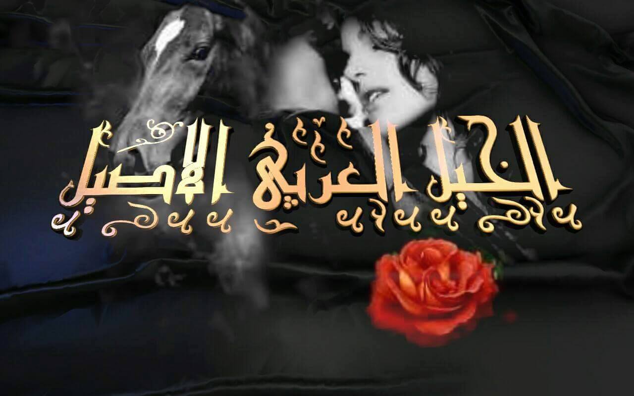 حياة - #من_مقتنيات_اجدادنا السعن والصميل من التراث وعبق الماضي الجميل ...