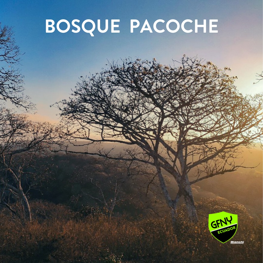 GFNY Ecuador - El Bosque de Pacoche ubicado a 10 Km de la...