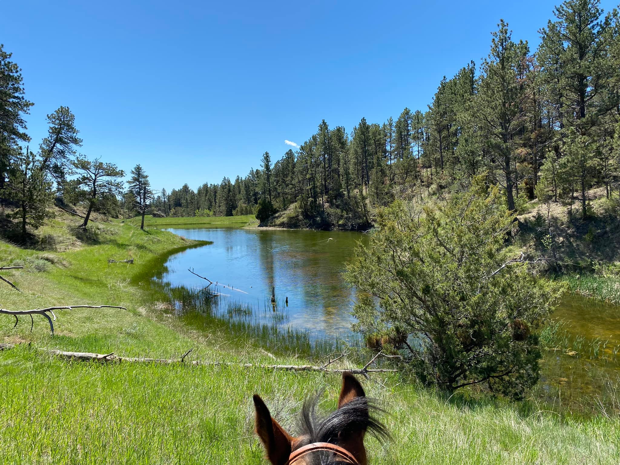 G Bar M Ranch | Broadus MT