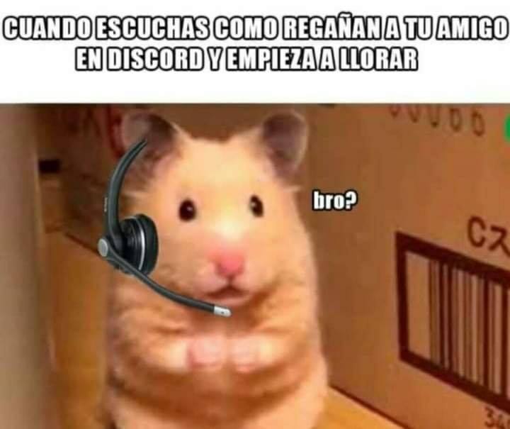 Free Fire Memes Facebook