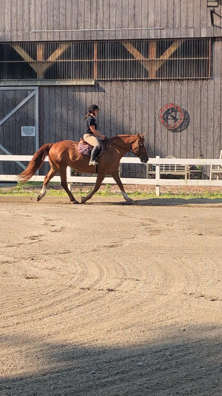 Lee's Riding Stable, Inc.... - Lee's Riding Stable, Inc.