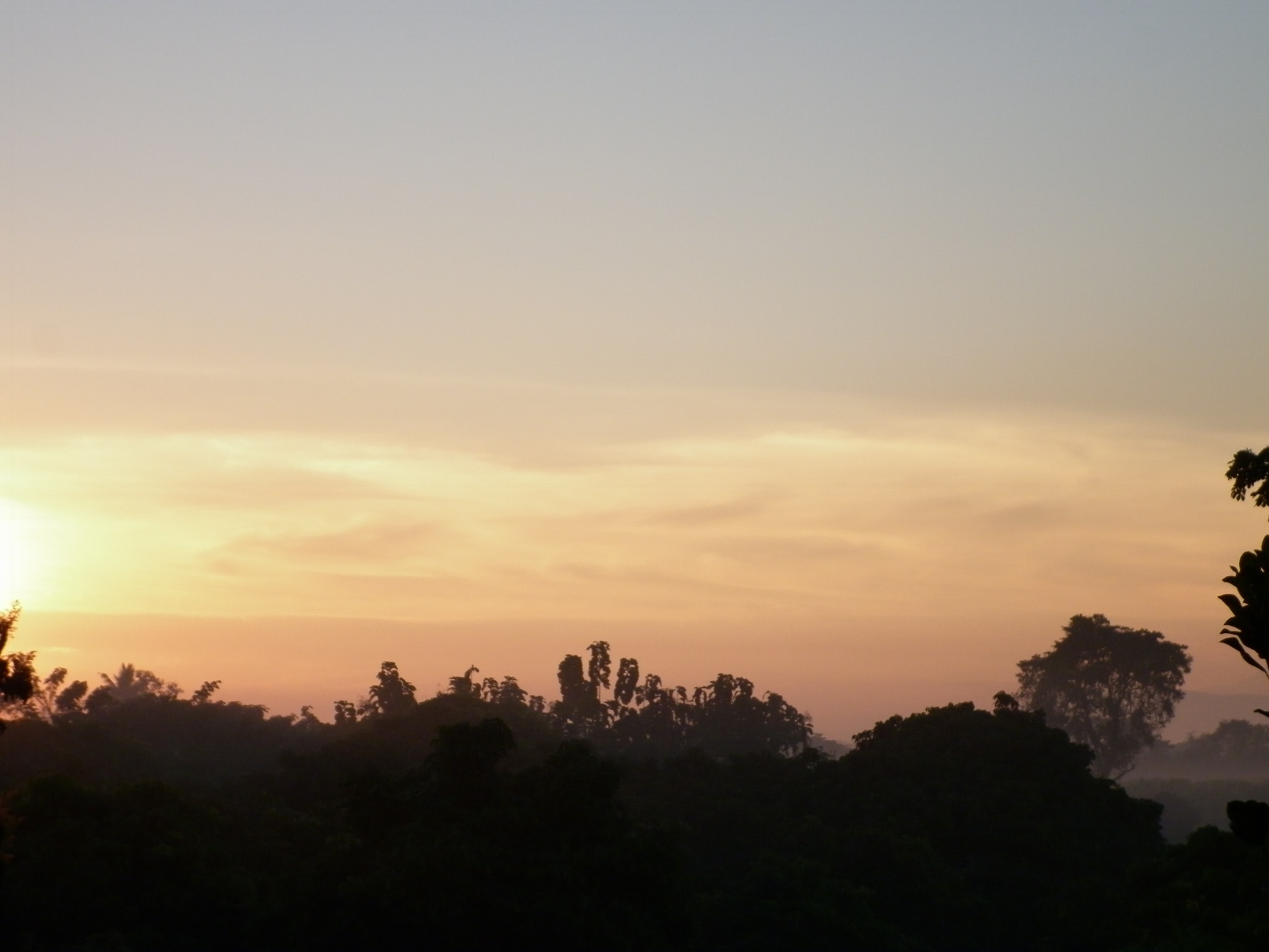 Chatree Khawngam
