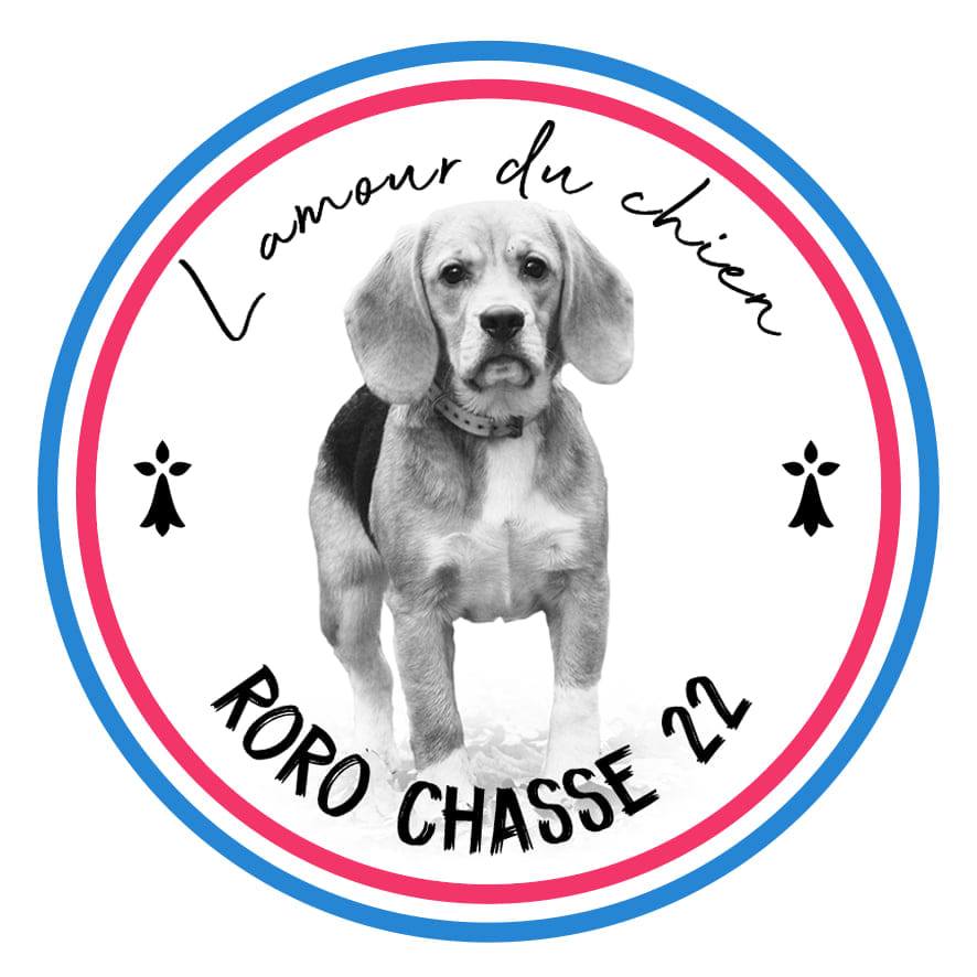 Les bébés 🥰 #chiot #beagle #chasse | Roro Chasse Sanglier Avec Beagle