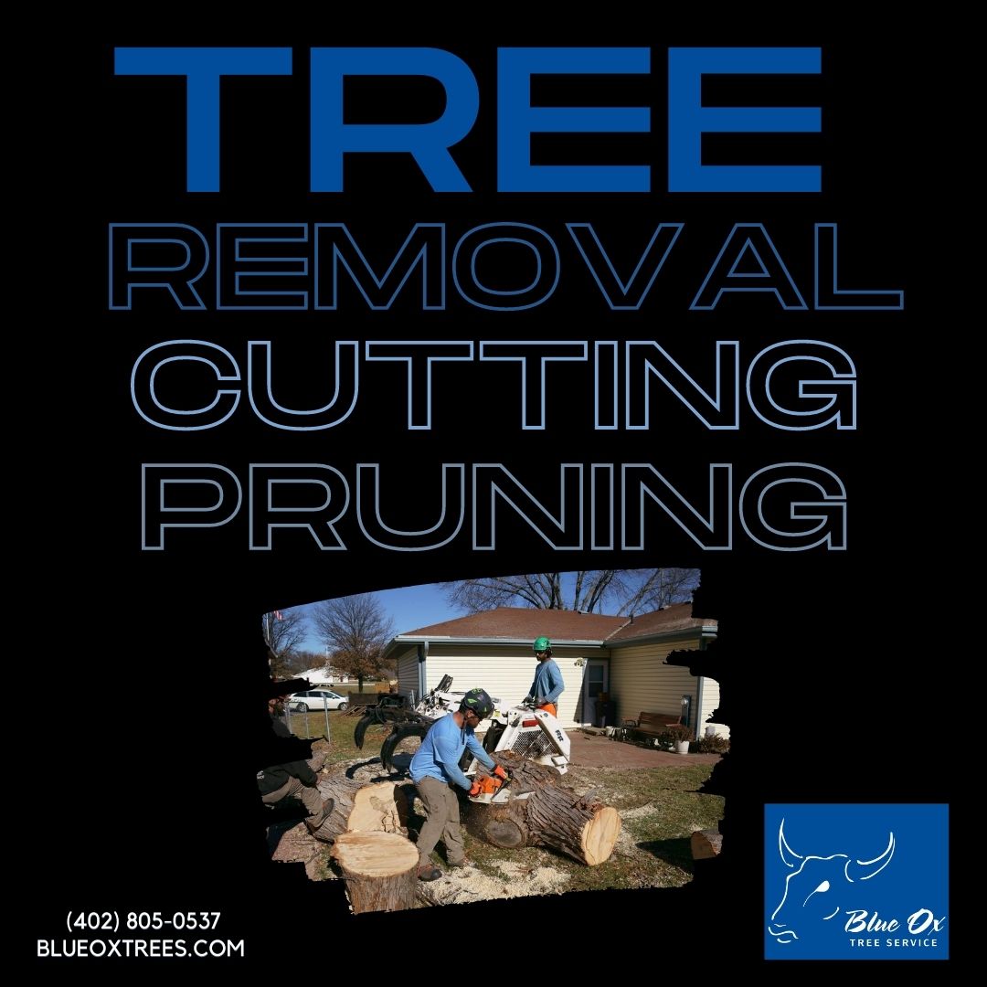 Blue Ox Tree Service Nebraska | Lincoln NE