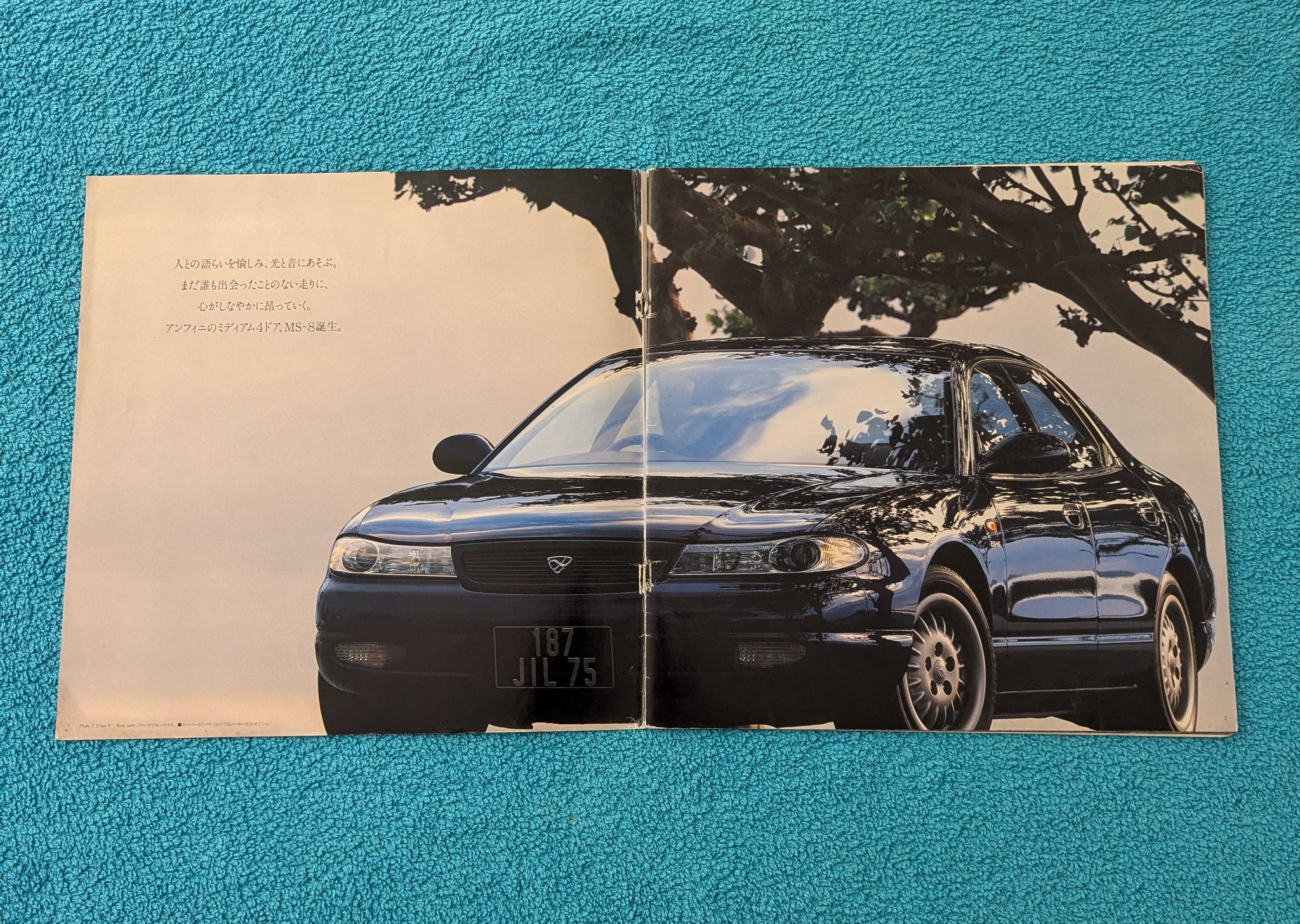 The rarest Mazdaspeed item i have, the 1999 Mazdaspeed Club metal