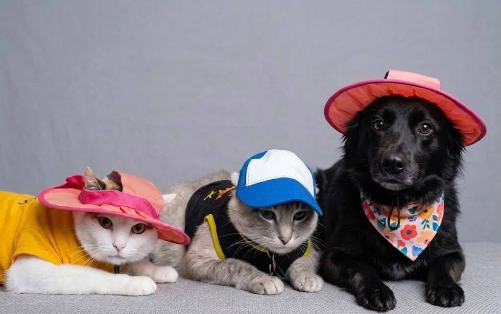 Aldi summer hats for kids with fun designs like Grogu, Olaf, and Elsa