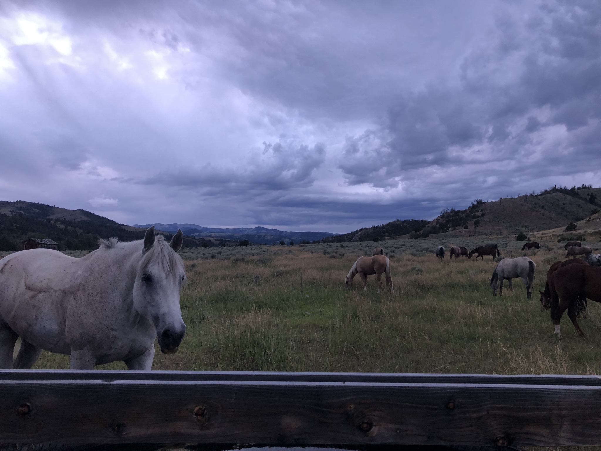 LU Ranch