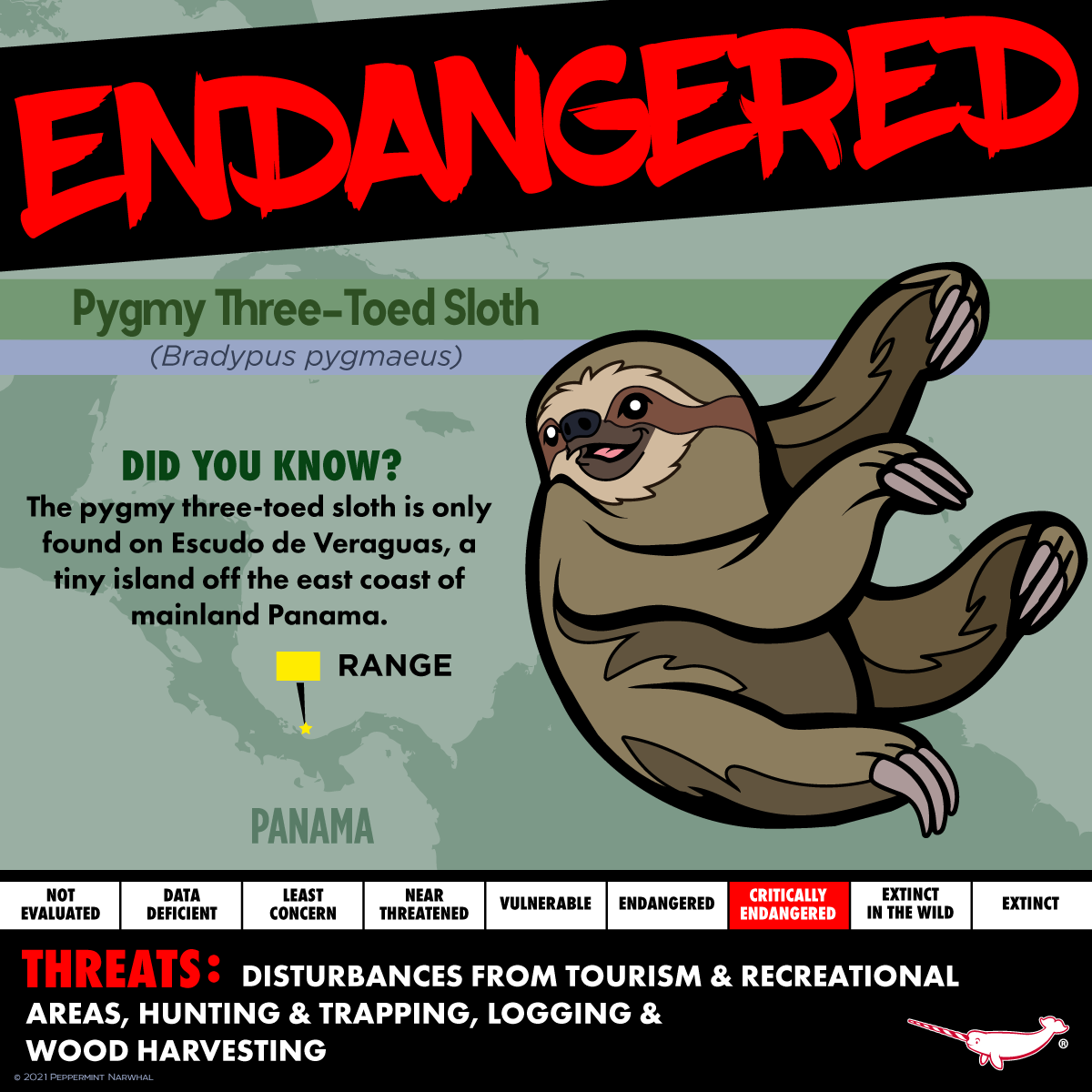 Peppermint Narwhal Creative - ENDANGERED: Pygmy Three-Toed Sloth ...