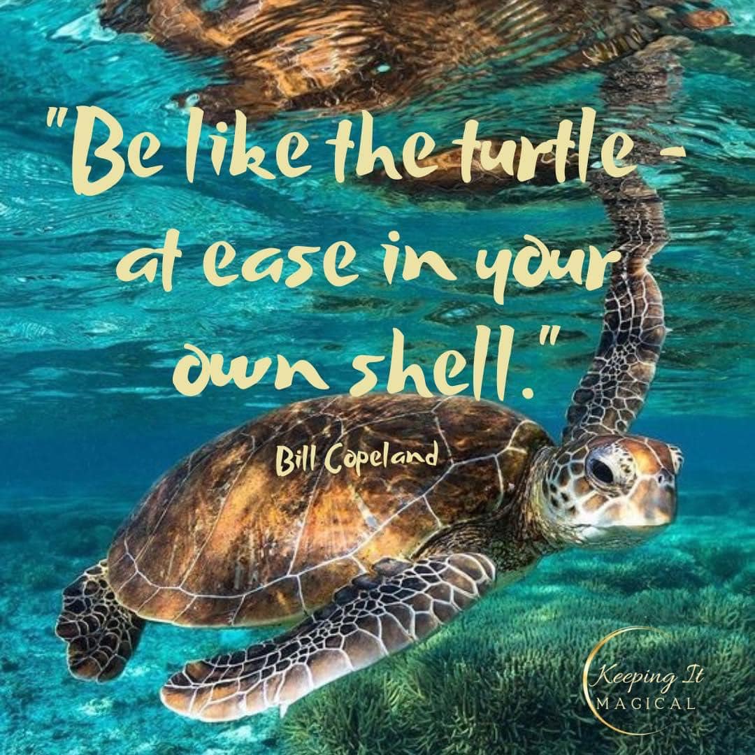 Keeping - Happy World Turtle Day! “Be like the turtle-at ease in your ...