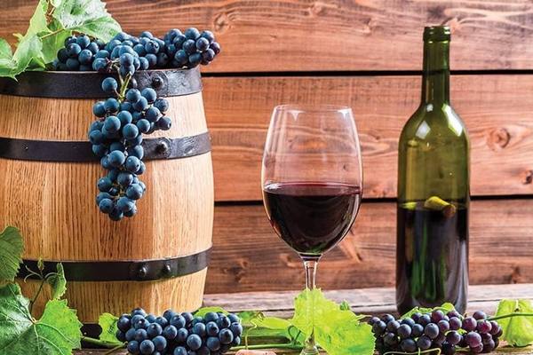 Racha Winemakers Club / რაჭის მეღვინეთა კლუბი | Ambrolauri