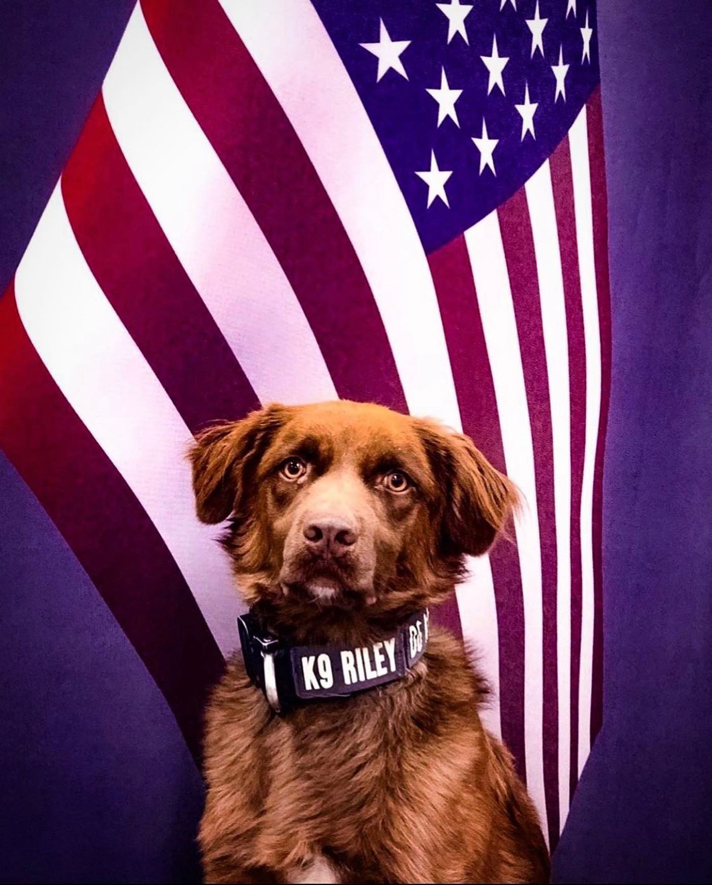 K9 Riley