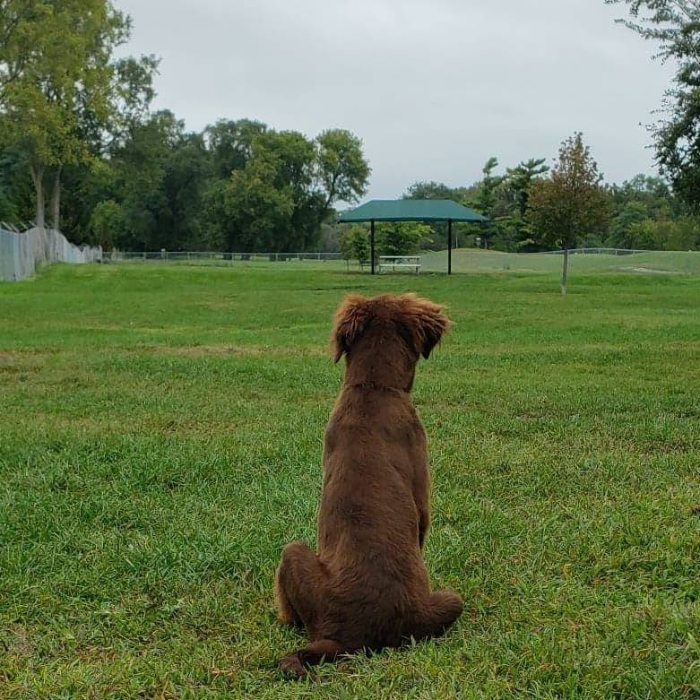 Lake Geneva Dog Park Lake Geneva WI