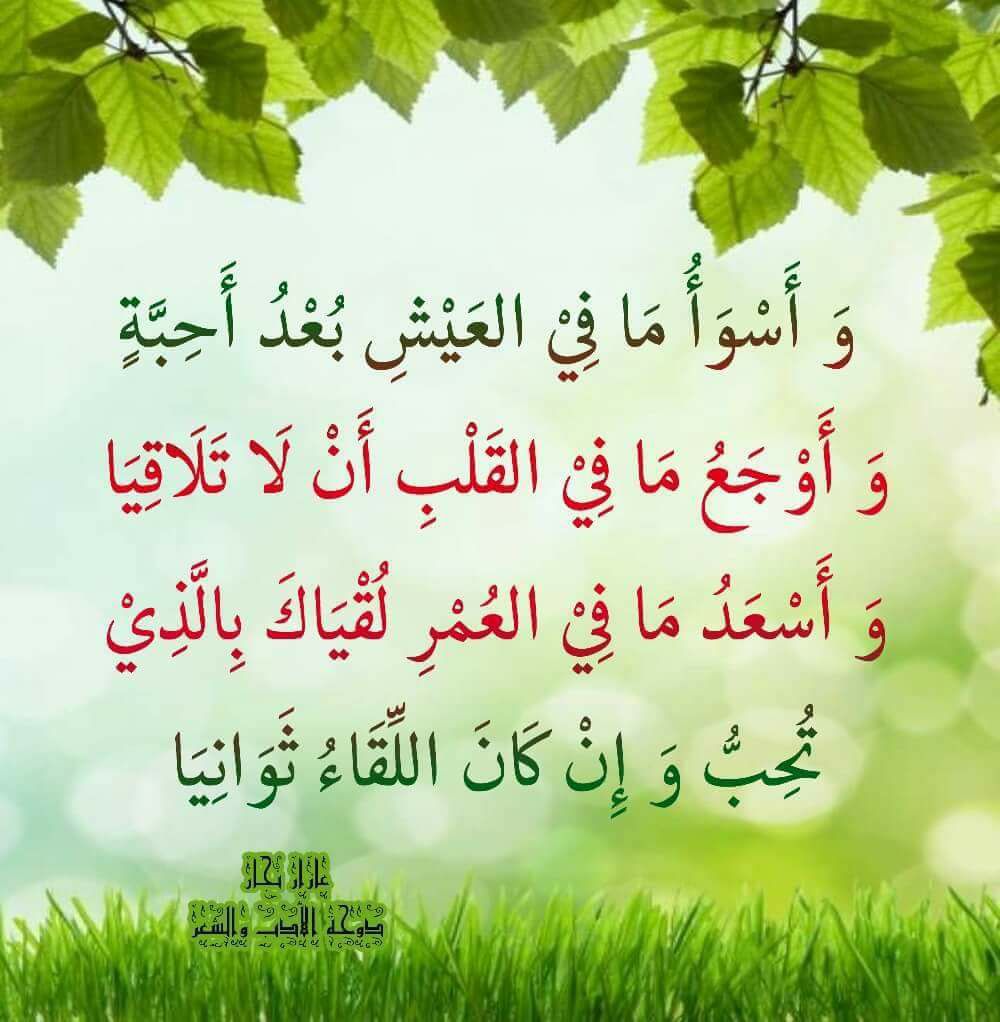 ديوان سحر البيان - يا غائباً ذكرُهُ في القلب محتَضَرُ صبرتَ عنّي وما لي ...
