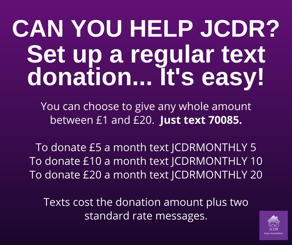 JCDR - 🐾 Did you know that there's a quick and easy way to...