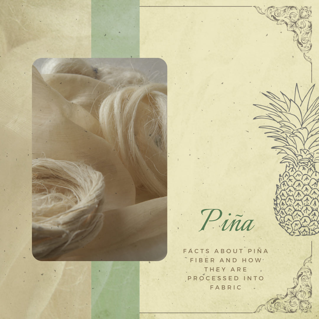 UP - You have to admit, you have wondered why your piña barong is itchy ...