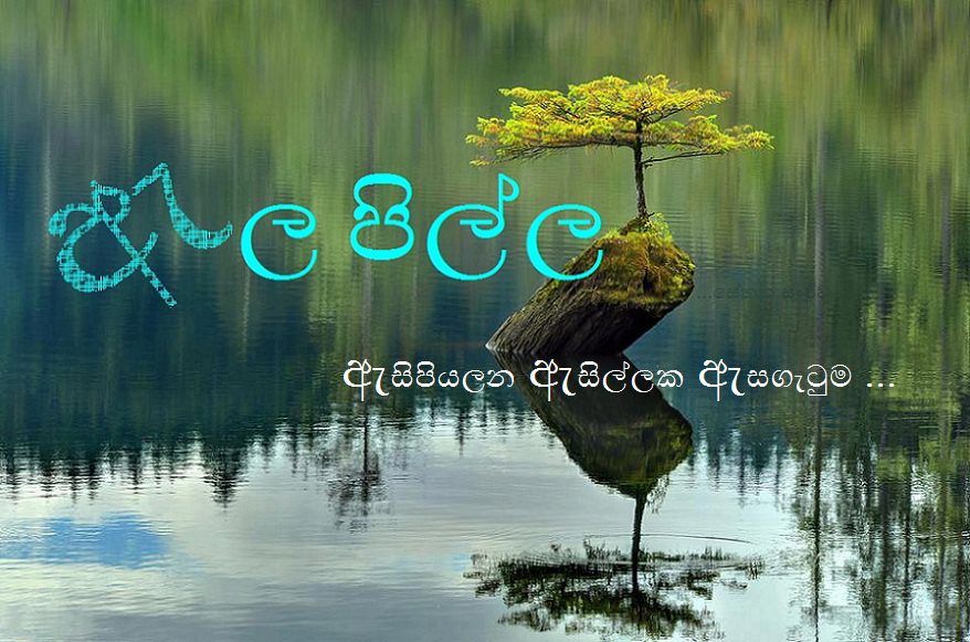 Alapilla ඇලපිල්ල