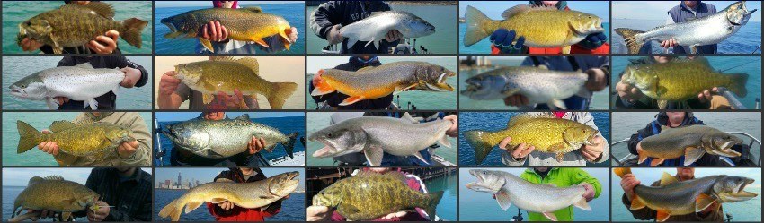 Capt. Ralph Steiger - Charter Fishing