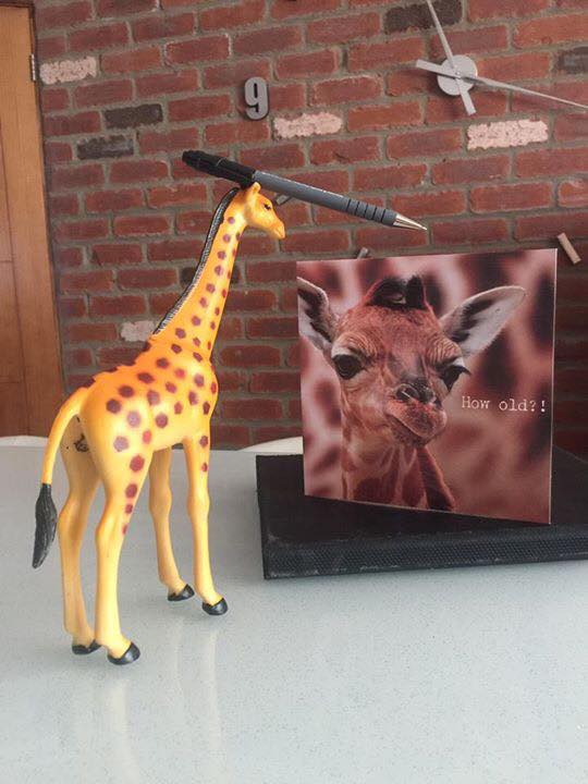 The Amazing Adventures of Mr Gee Raffe
