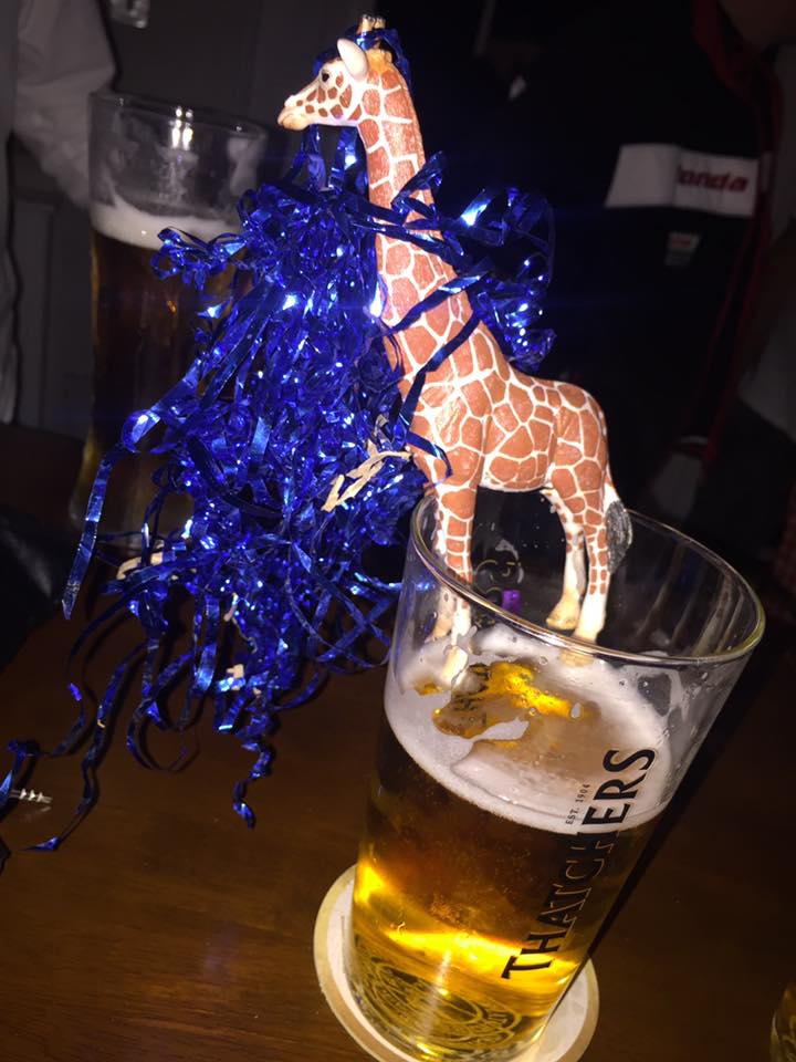 The Amazing Adventures of Mr Gee Raffe