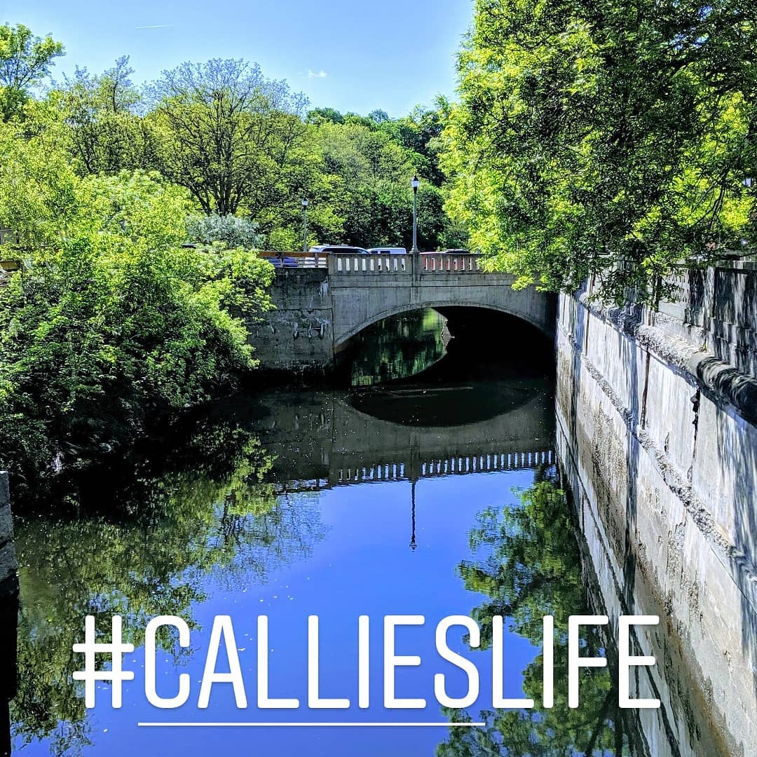 Callie's Life