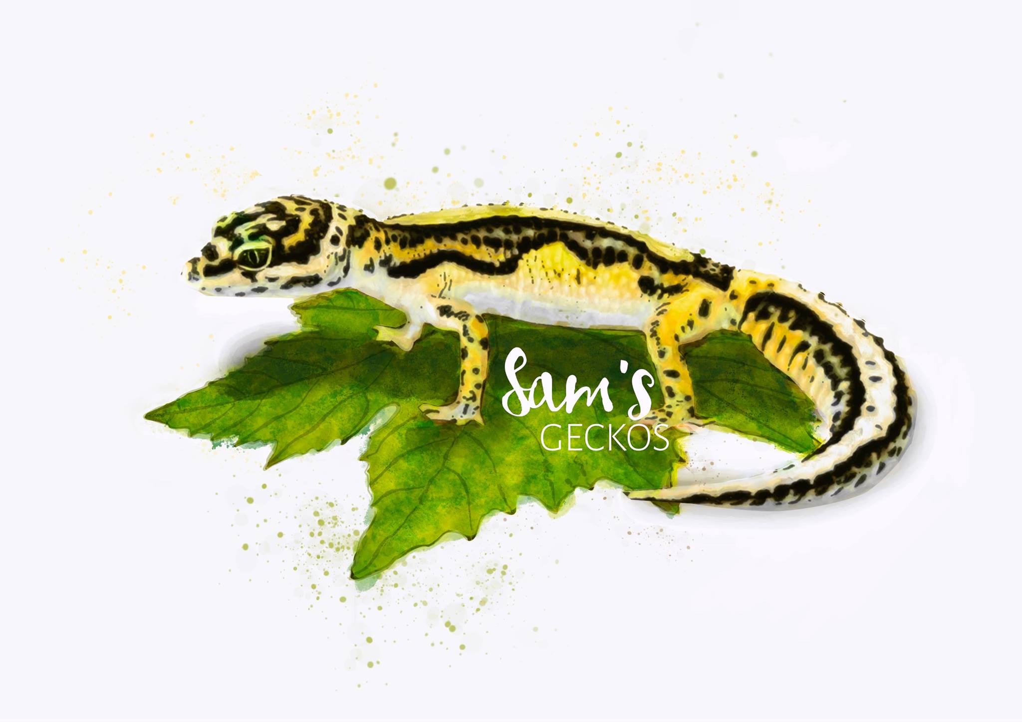 L... - Leopard Gecko & Pets Rat Rescue in California 209 & 925