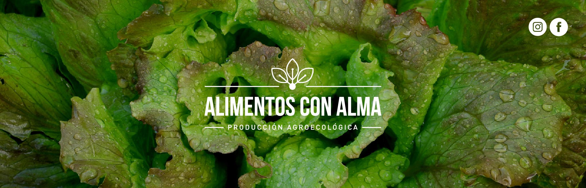 La Caterva Alimentos... - La Caterva Alimentos Agroecológicos