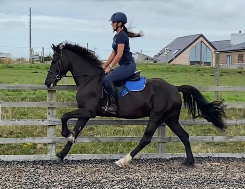 If there’s a horse I’d have bloomin... - Gwinnett Equestrian