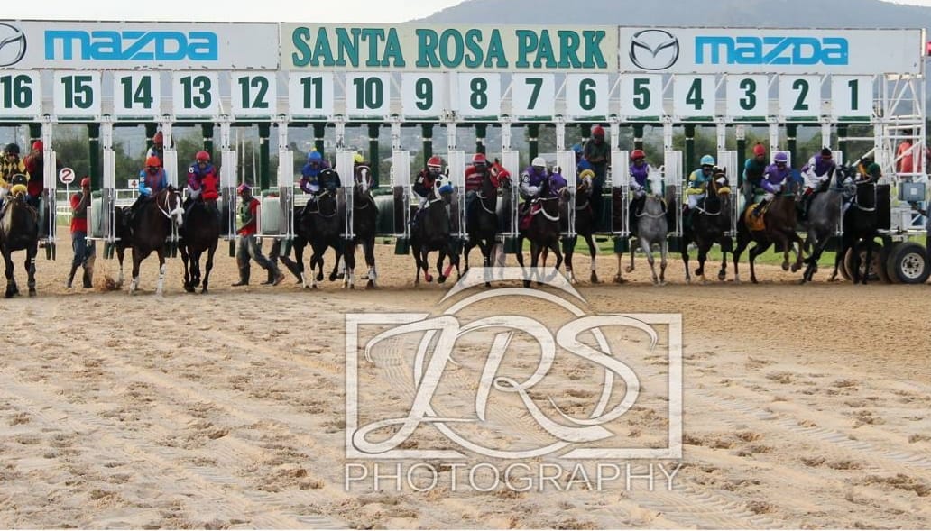 Santa Rosa Park Racing Fans