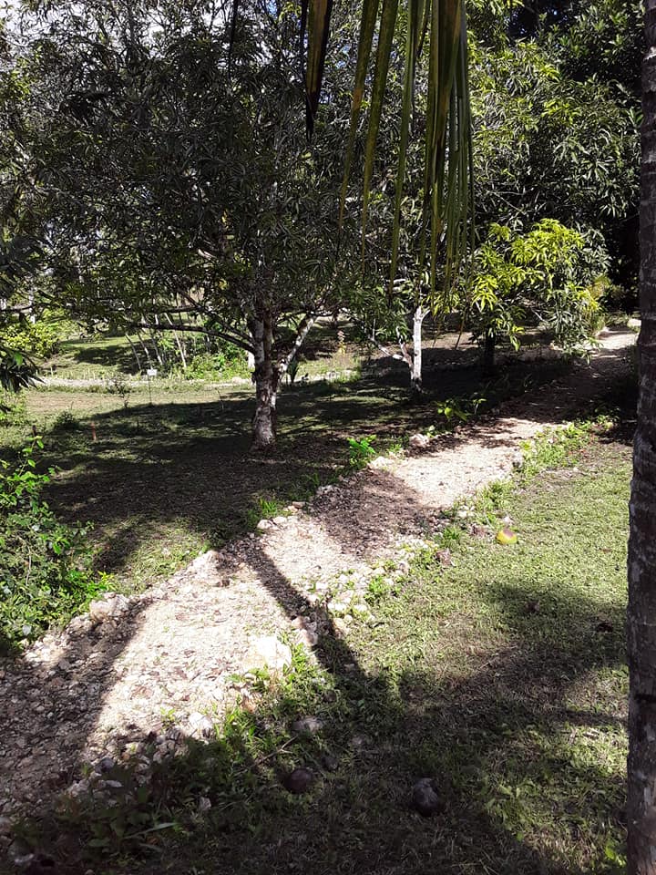 Numasa Wellness Resource Center | Belmopan