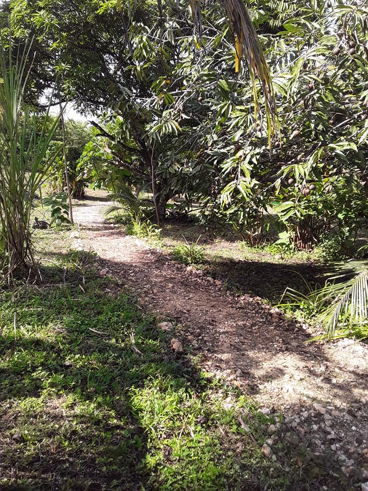 Numasa Wellness Resource Center | Belmopan