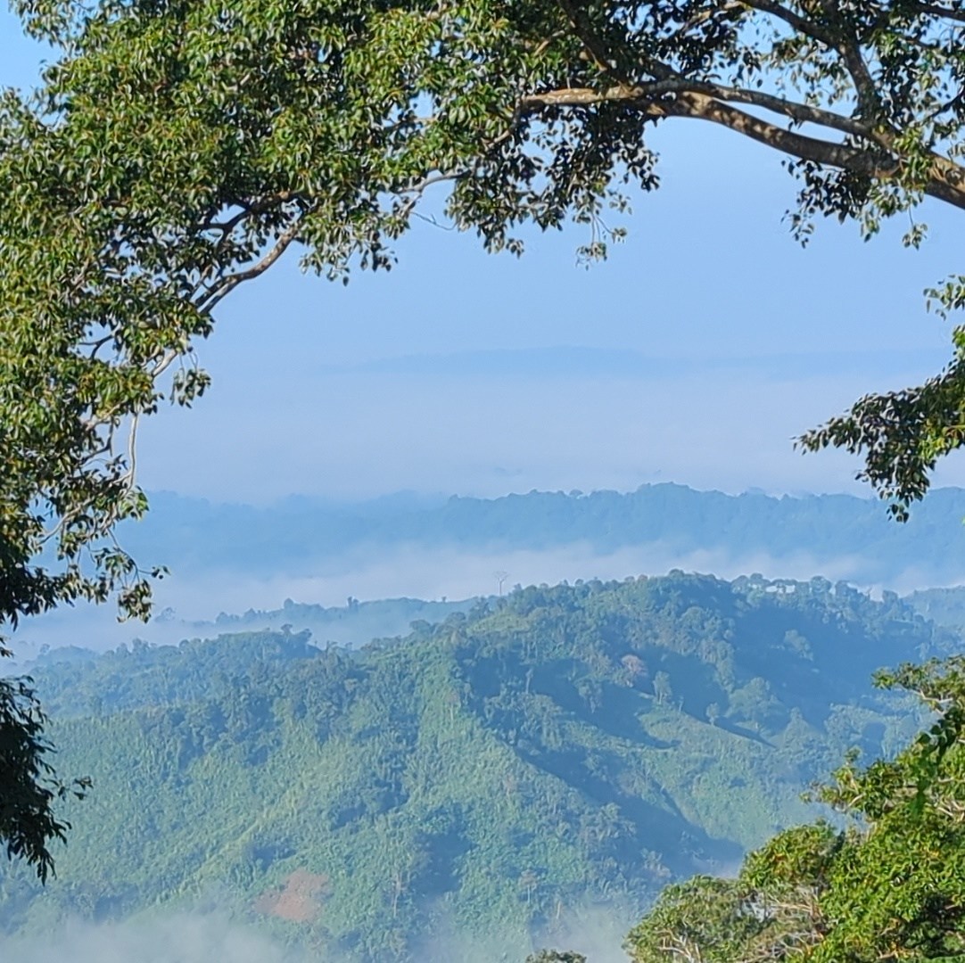 হলাপ্রু মারমা