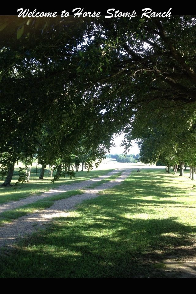 Horse Stomp Ranch | Poplarville MS
