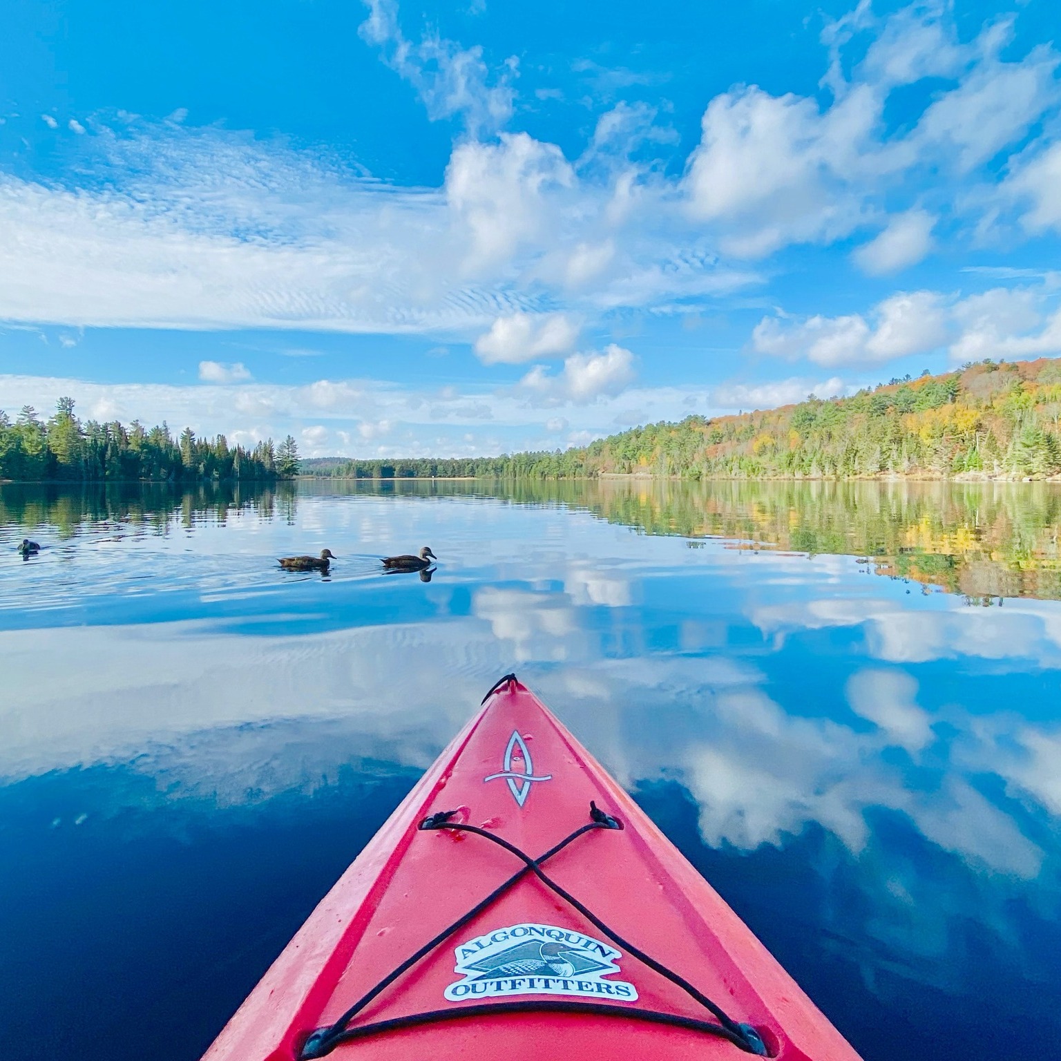 Micks Canoe & Kayak Rentals... - Micks Canoe & Kayak Rentals