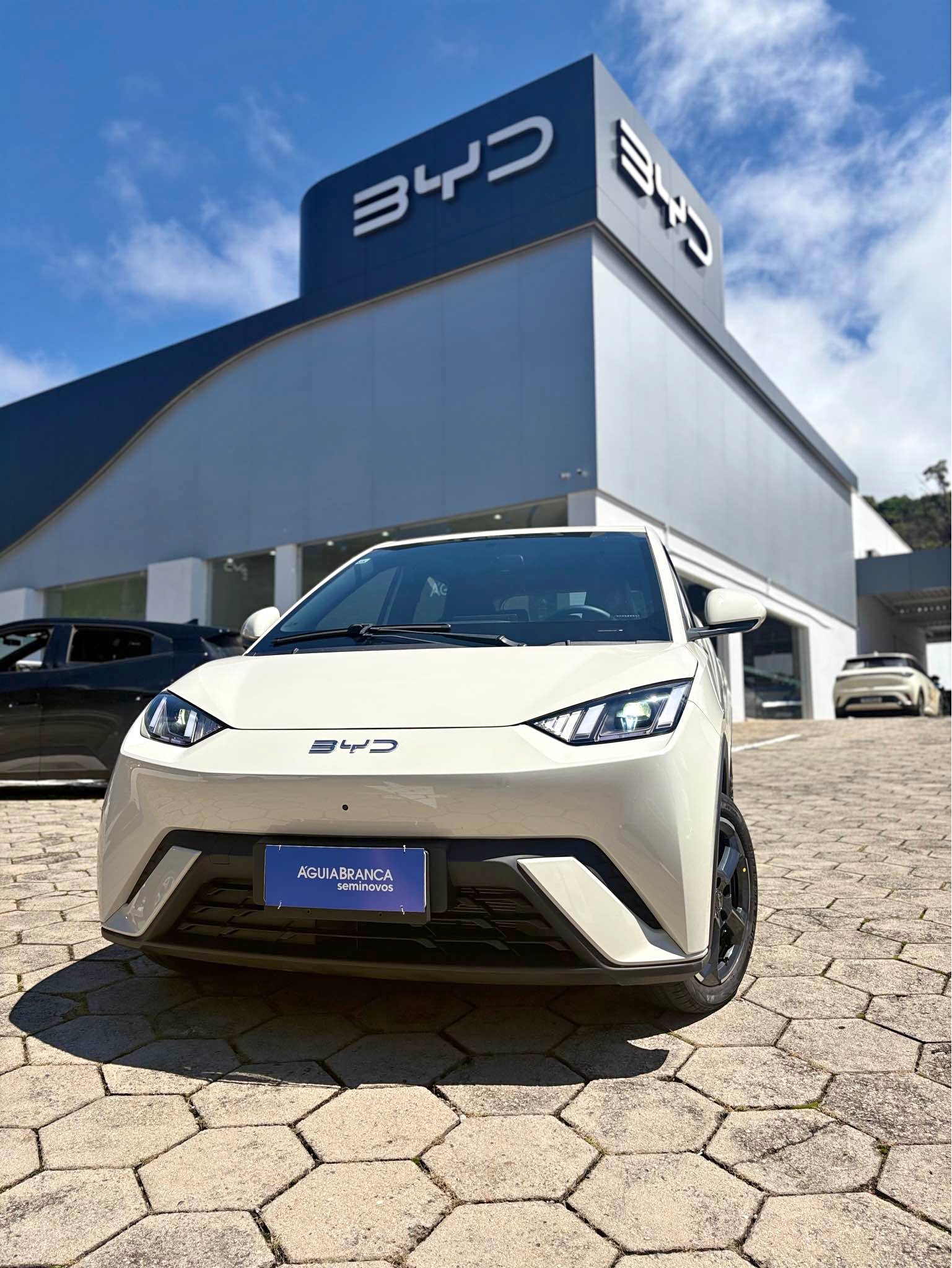 2025 BYD Dolphin Mini - RVs & Campers - Poços de Caldas | Facebook ...