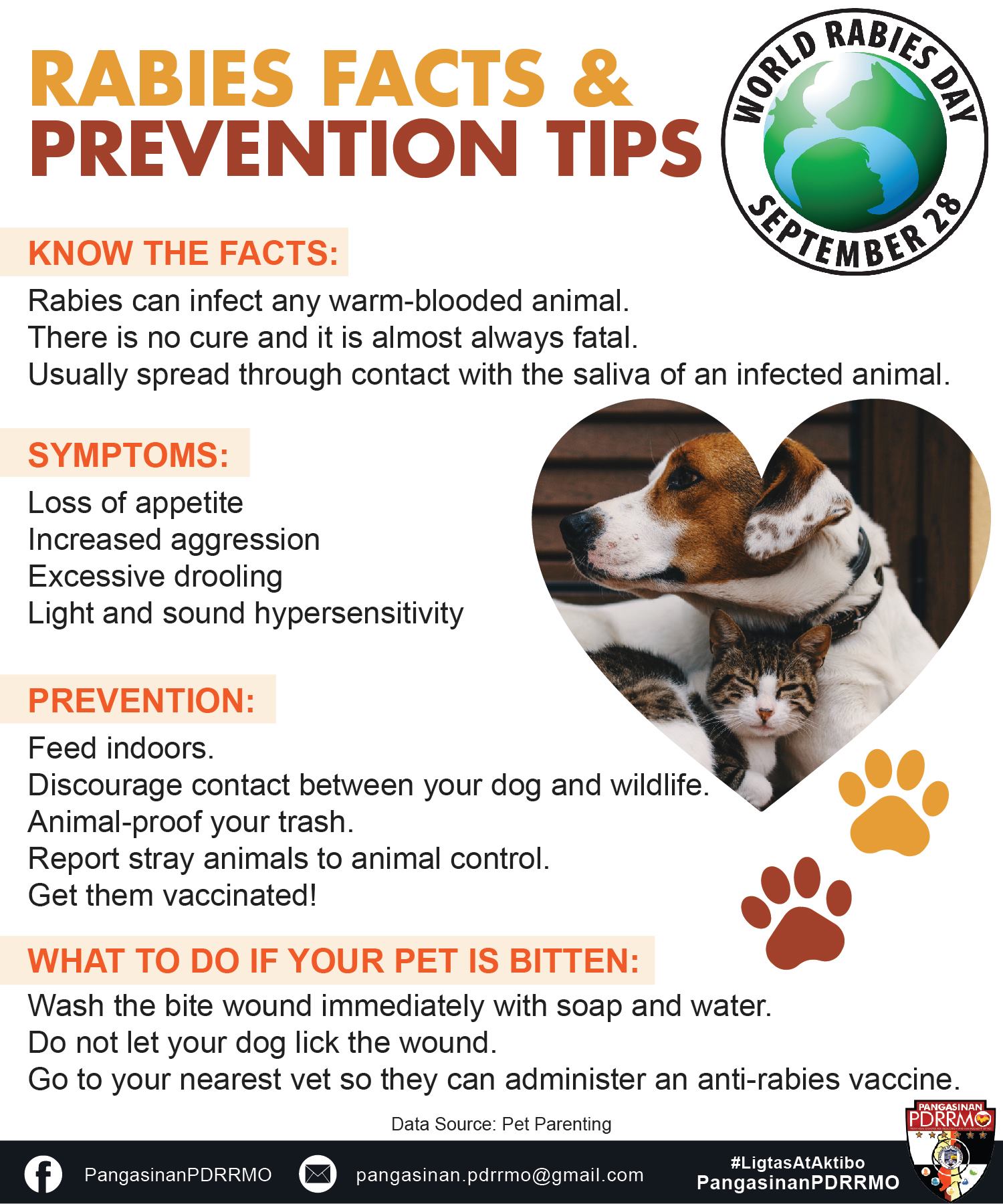 Do Indoor Dogs Have Rabies