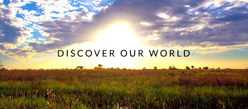 QHF Ranch | Palm City FL