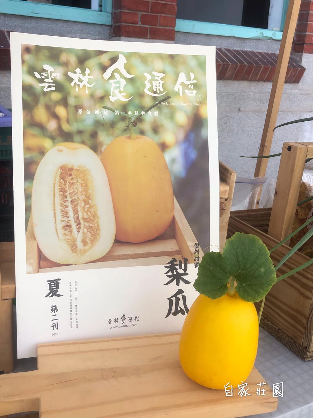 自家莊園 - 今年首批瓜瓜即將開採囉！ 💎黃皮香瓜（梨仔瓜）首先開採，明天開採 💎香瓜再稍等一下下，約下週開採... | Facebook