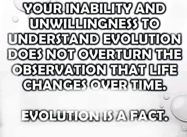 Creationism | Evolution is a fact | Facebook